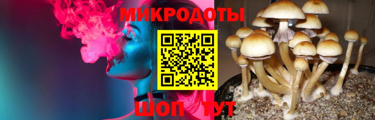 Новоуральск  Галлюциногенные грибы MAGIC MUSHROOMS  Вход с VPN  Галлюциногенные грибы Psilocybine cubensis 